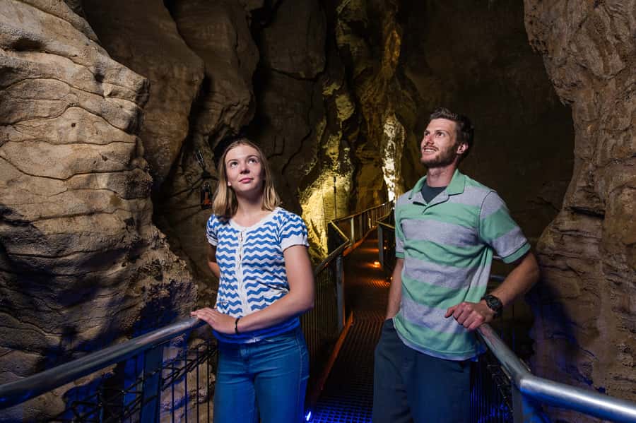 Waitomo Caves: Ruakuri Glowworm Cave Guided Walking Tour - Holdens Cavern and the first cave formations