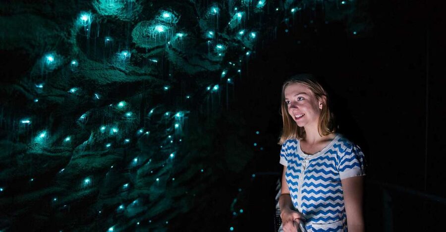 Waitomo Caves: Ruakuri Glowworm Cave Guided Walking Tour - The Drum Passage, The Pretties, and Ghost Passage