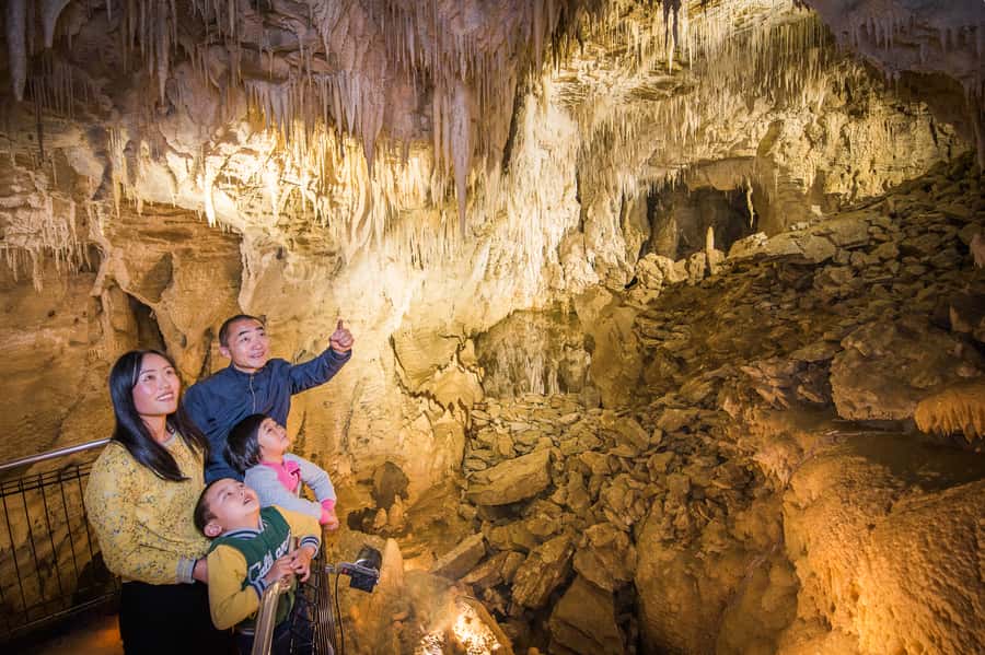 Waitomo Caves: Ruakuri Glowworm Cave Guided Walking Tour - Glowworms close enough to see their fine threads
