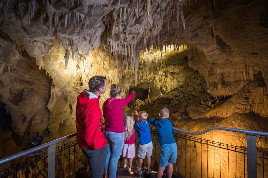 Waitomo Caves: Ruakuri Glowworm Cave Guided Walking Tour - A small group makes the cave more personal