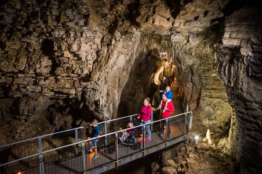 Waitomo Caves: Ruakuri Glowworm Cave Guided Walking Tour - Is $69 a fair price?
