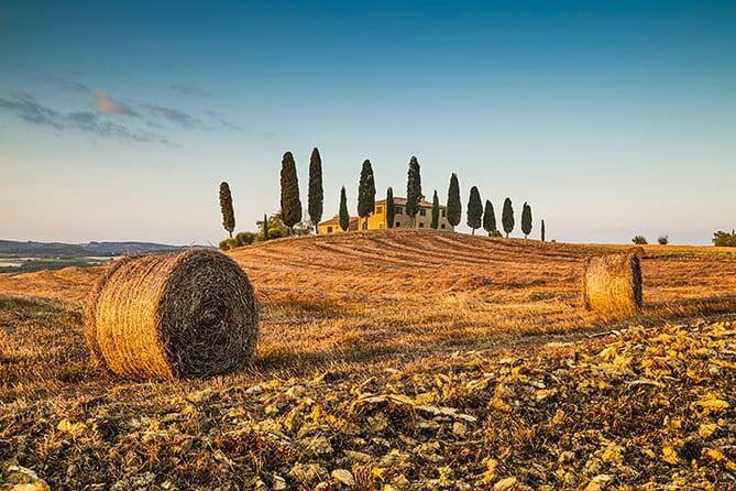 Walking Food Tour of Florence with Tastings and Wine - Gelato is the right finish