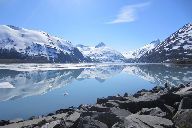 Wildlife and Glaciers with a walk in the Rainforest - Portage Valley and the short rainforest walk