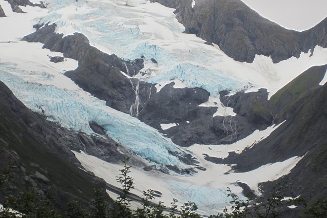 Wildlife and Glaciers with a walk in the Rainforest - Season, weather, and realistic expectations